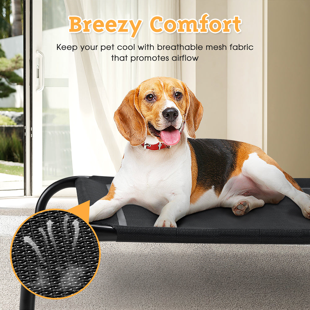 Petzly Cooling Elevated Pet Dog Bed for Medium Dog Washable Breathable Mesh Black