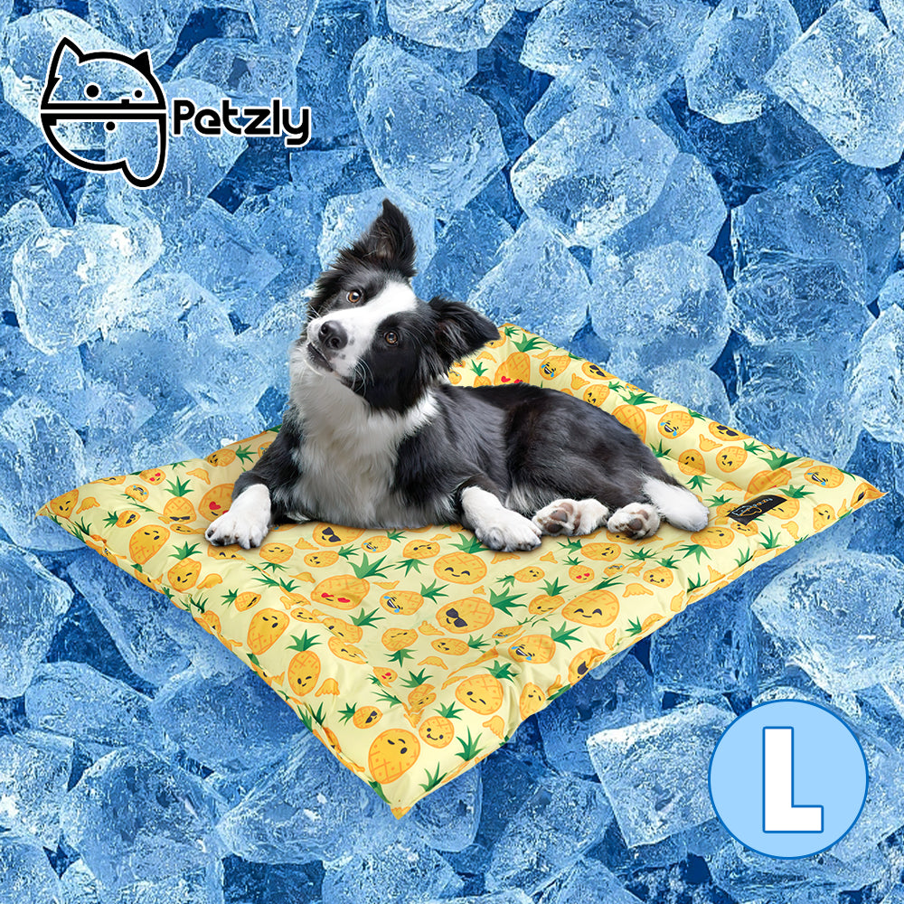 Petzly Pet Cool Gel Mat Dog Cat Bed Non-Toxic Cooling Dog Summer Pad 76x116CM